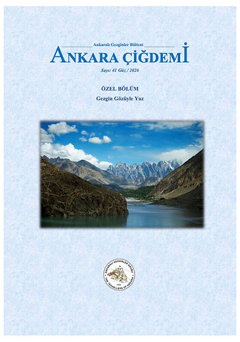 Ankara Çiğdemi’nin güz sayısı (güz/2026, sayı 41) çıktı.